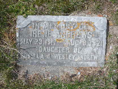 Irene Andrews
Queensville Cemetery
Queensville, Ontario