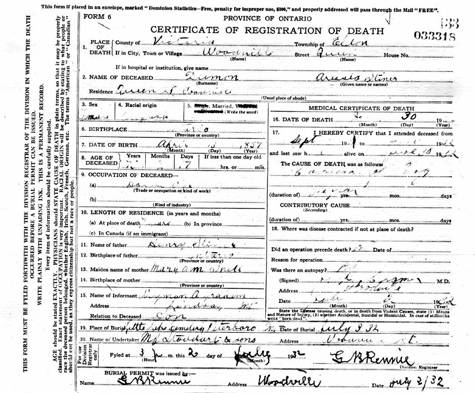 Arissa (Stiner) Dumon
Death Registration
