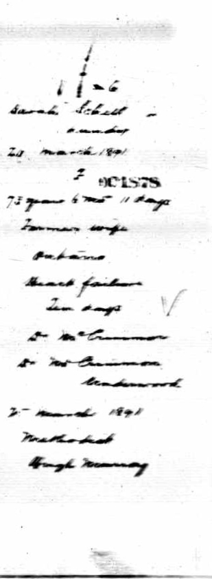 Sarah (Lundy) Schell
Death Registration
